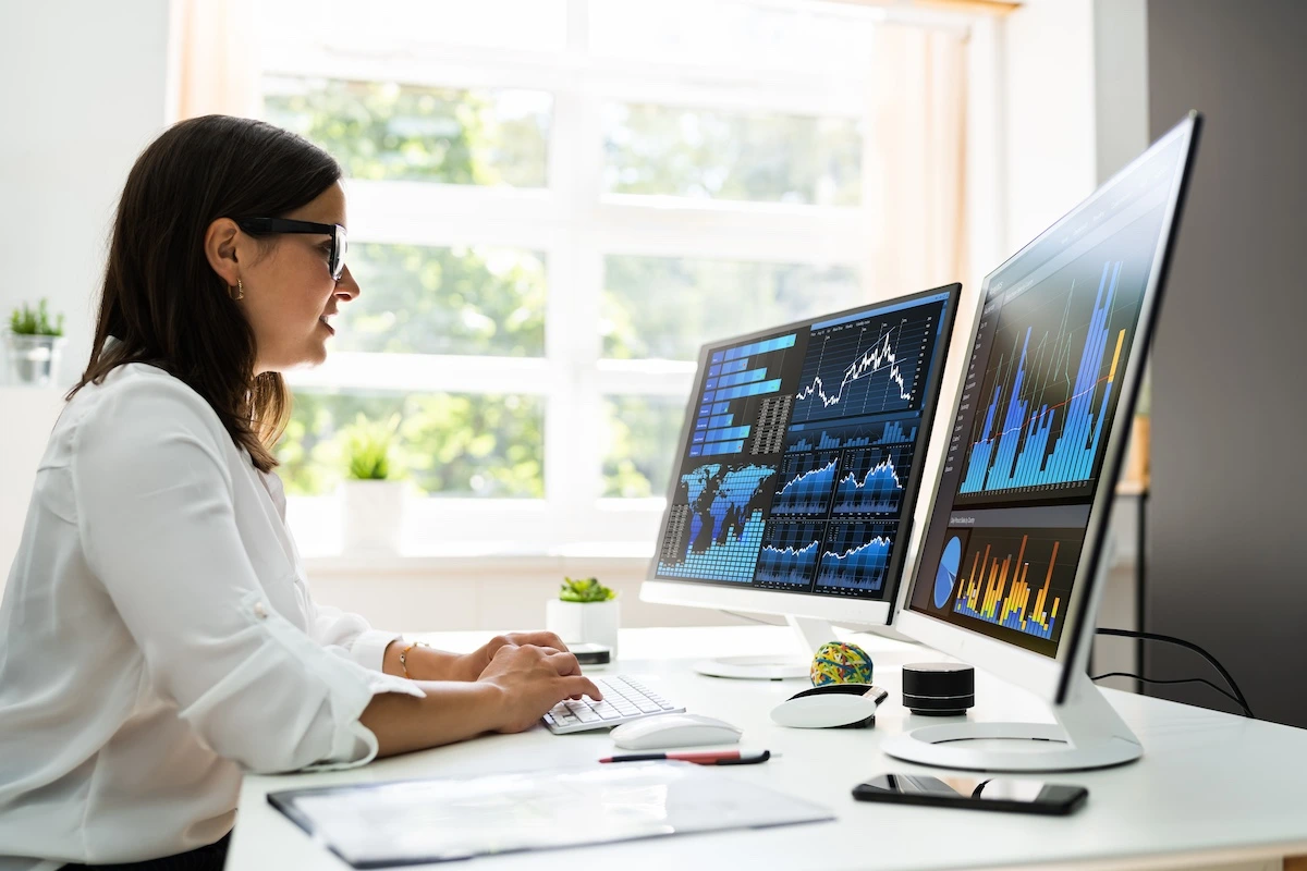 Professional Data Analyst Training Program